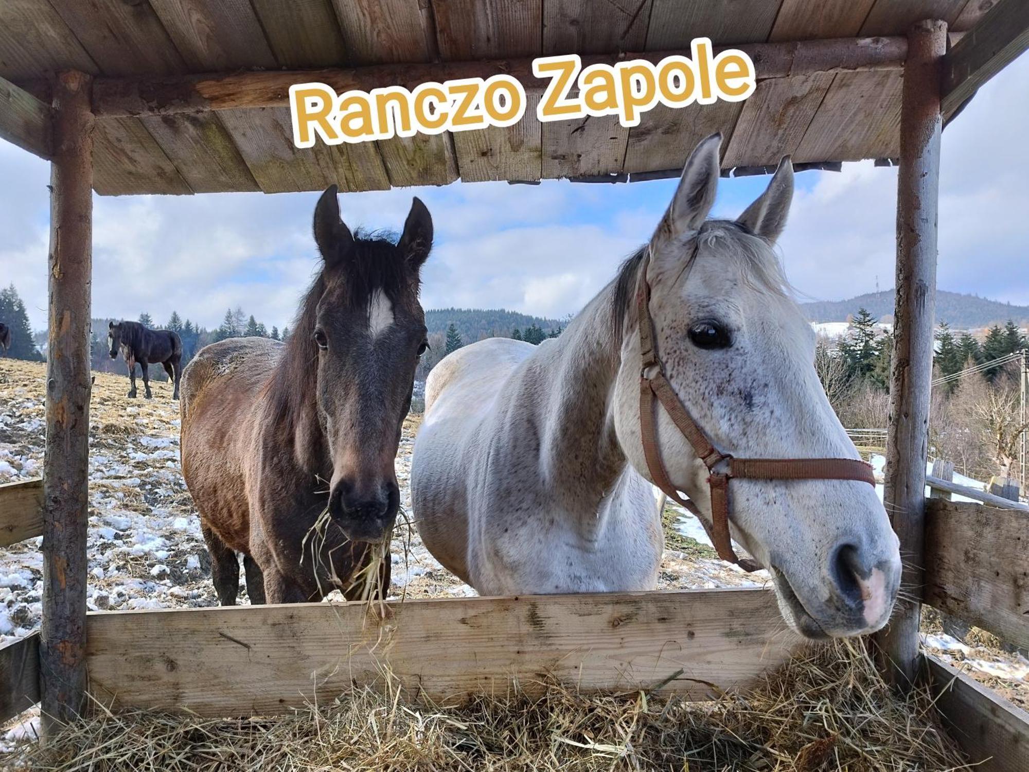 Rancho Zapole Villa Zasadne Bagian luar foto